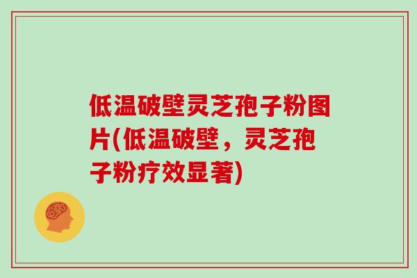 低温破壁灵芝孢子粉图片(低温破壁,灵芝孢子粉疗效显著)