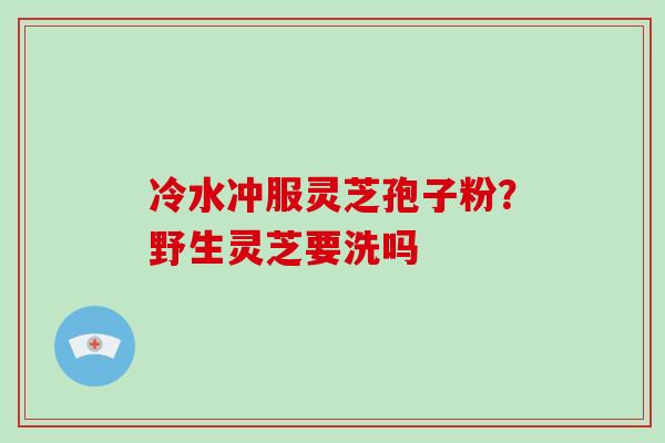 冷水冲服灵芝孢子粉?野生灵芝要洗吗