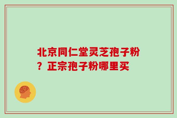北京同仁堂灵芝孢子粉？正宗孢子粉哪里买