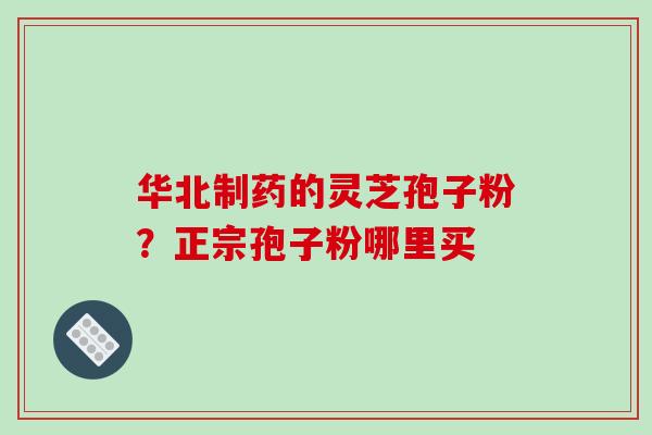 华北制药的灵芝孢子粉?正宗孢子粉哪里买