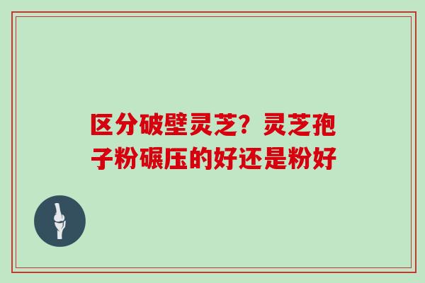 区分破壁灵芝?灵芝孢子粉碾压的好还是粉好