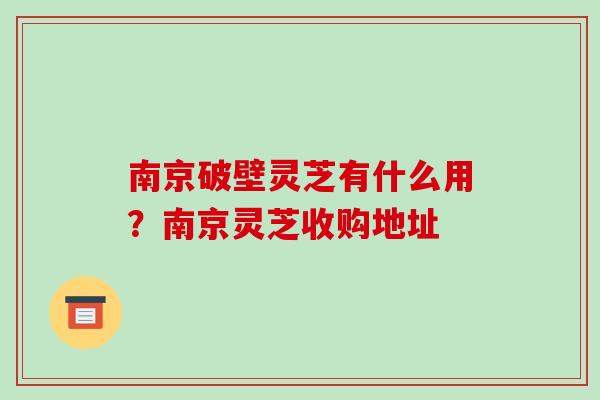 南京破壁灵芝有什么用？南京灵芝收购地址