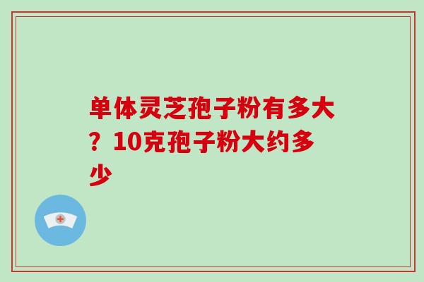 单体灵芝孢子粉有多大？10克孢子粉大约多少