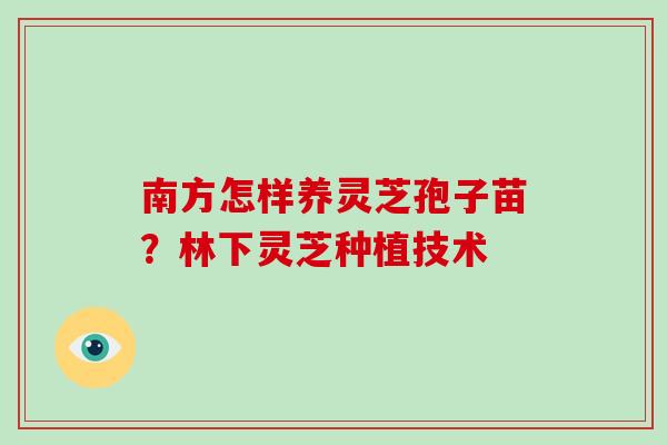 南方怎样养灵芝孢子苗?林下灵芝种植技术