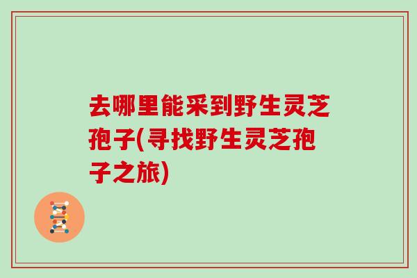 去哪里能采到野生灵芝孢子(寻找野生灵芝孢子之旅)