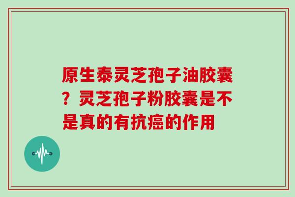 原生泰灵芝孢子油胶囊?灵芝孢子粉胶囊是不是真的有抗癌的作用