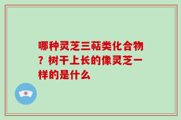 哪种灵芝三萜类化合物?树干上长的像灵芝一样的是什么
