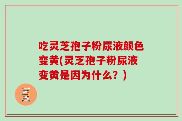 吃灵芝孢子粉尿液颜色变黄(灵芝孢子粉尿液变黄是因为什么?)