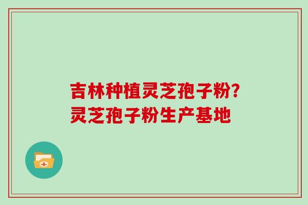 吉林种植灵芝孢子粉？灵芝孢子粉生产基地