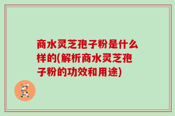 商水灵芝孢子粉是什么样的(解析商水灵芝孢子粉的功效和用途)