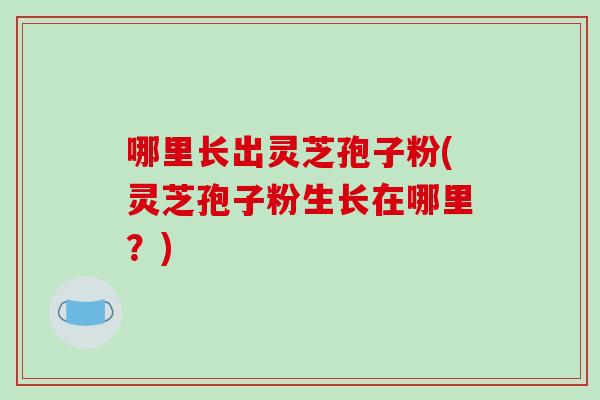 哪里长出灵芝孢子粉(灵芝孢子粉生长在哪里?)