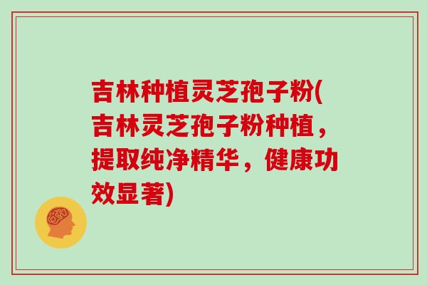 吉林种植灵芝孢子粉(吉林灵芝孢子粉种植，提取纯净精华，健康功效显著)