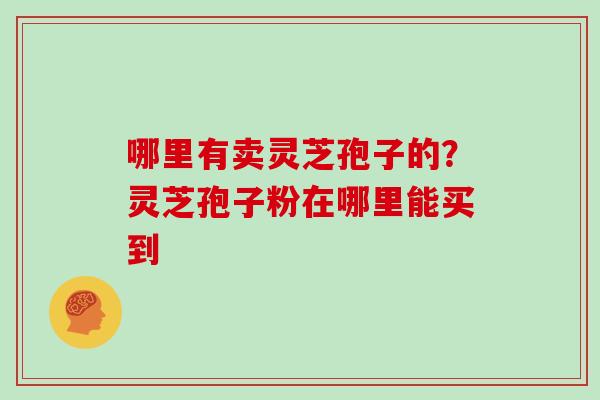 哪里有卖灵芝孢子的?灵芝孢子粉在哪里能买到