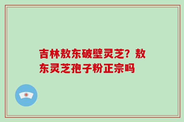 吉林敖东破壁灵芝?敖东灵芝孢子粉正宗吗