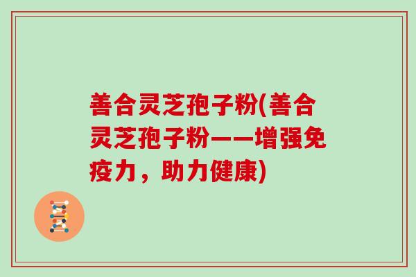 善合灵芝孢子粉(善合灵芝孢子粉——增强免疫力,助力健康)