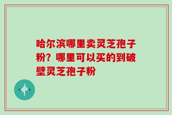 哈尔滨哪里卖灵芝孢子粉?哪里可以买的到破壁灵芝孢子粉