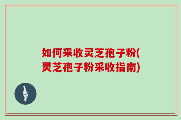如何采收灵芝孢子粉(灵芝孢子粉采收指南)