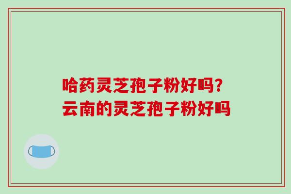 哈药灵芝孢子粉好吗？云南的灵芝孢子粉好吗