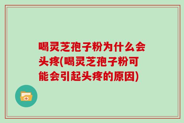 喝灵芝孢子粉为什么会头疼(喝灵芝孢子粉可能会引起头疼的原因)