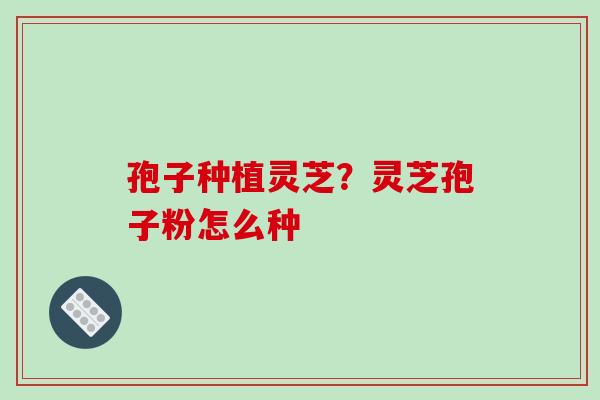 孢子种植灵芝?灵芝孢子粉怎么种