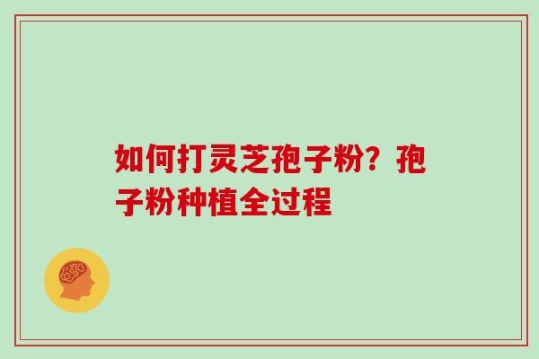 如何打灵芝孢子粉?孢子粉种植全过程