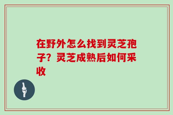 在野外怎么找到灵芝孢子?灵芝成熟后如何采收