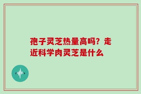 孢子灵芝热量高吗？走近科学肉灵芝是什么