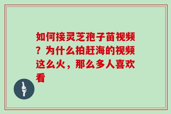 如何接灵芝孢子苗视频?为什么拍赶海的视频这么火,那么多人喜欢看