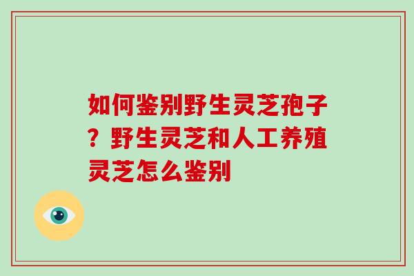如何鉴别野生灵芝孢子？野生灵芝和人工养殖灵芝怎么鉴别