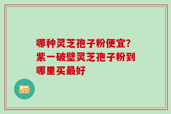 哪种灵芝孢子粉便宜？紫一破壁灵芝孢子粉到哪里买最好
