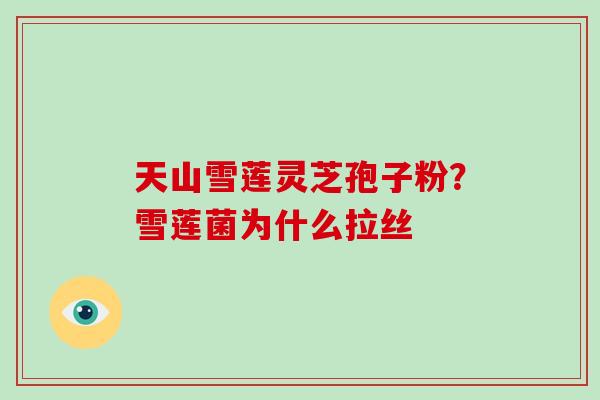 天山雪莲灵芝孢子粉?雪莲菌为什么拉丝