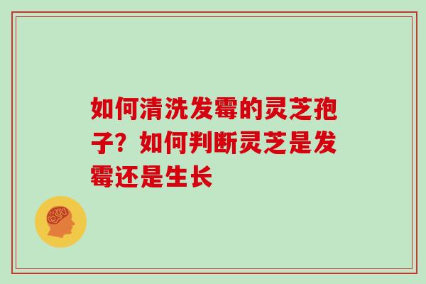 如何清洗发霉的灵芝孢子?如何判断灵芝是发霉还是生长
