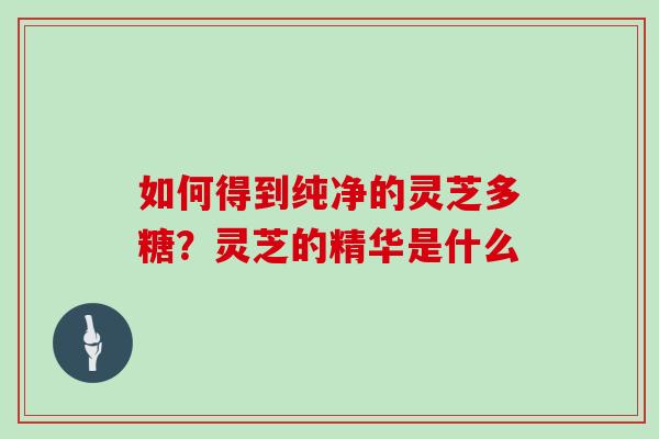 如何得到纯净的灵芝多糖?灵芝的精华是什么
