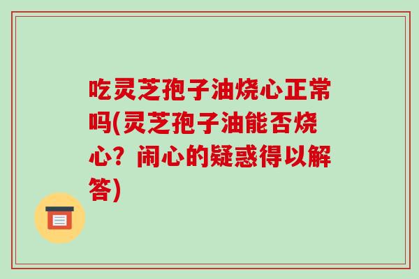 吃灵芝孢子油烧心正常吗(灵芝孢子油能否烧心?闹心的疑惑得以解答)