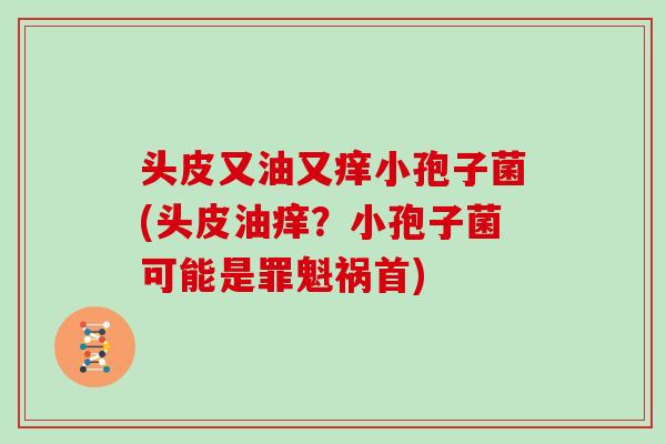 头皮又油又痒小孢子菌(头皮油痒?小孢子菌可能是罪魁祸首)