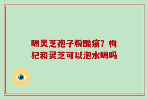 喝灵芝孢子粉酸痛?枸杞和灵芝可以泡水喝吗