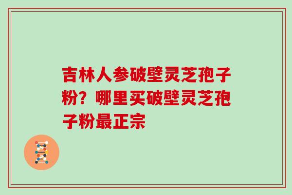 吉林人参破壁灵芝孢子粉?哪里买破壁灵芝孢子粉最正宗
