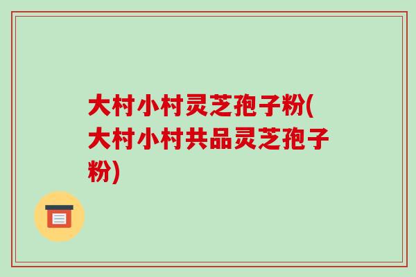 大村小村灵芝孢子粉(大村小村共品灵芝孢子粉)