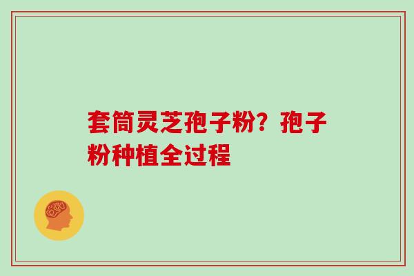 套筒灵芝孢子粉？孢子粉种植全过程