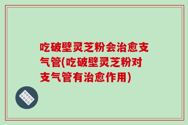 吃破壁灵芝粉会治愈支气管(吃破壁灵芝粉对支气管有治愈作用)