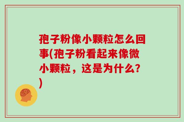 孢子粉像小颗粒怎么回事(孢子粉看起来像微小颗粒,这是为什么?)
