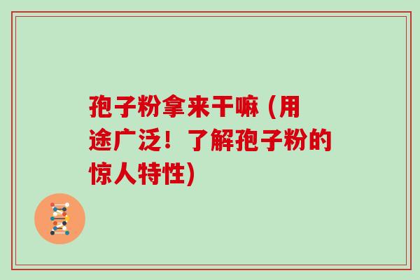 孢子粉拿来干嘛 (用途广泛!了解孢子粉的惊人特性)