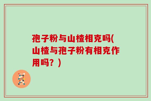 孢子粉与山楂相克吗(山楂与孢子粉有相克作用吗?)