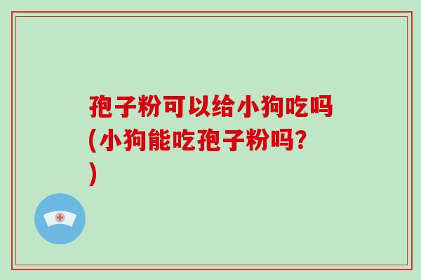 孢子粉可以给小狗吃吗(小狗能吃孢子粉吗？)