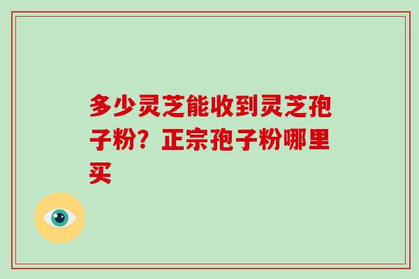 多少灵芝能收到灵芝孢子粉？正宗孢子粉哪里买
