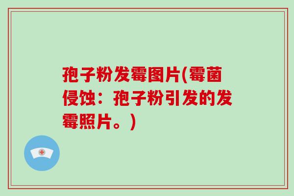 孢子粉发霉图片(霉菌侵蚀:孢子粉引发的发霉照片。)