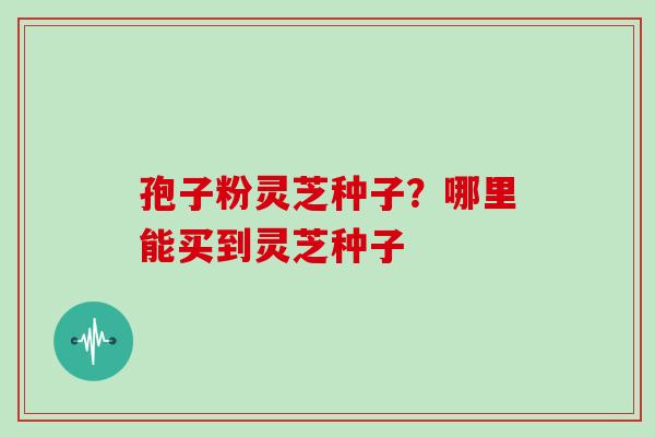 孢子粉灵芝种子？哪里能买到灵芝种子