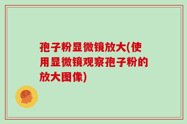 孢子粉显微镜放大(使用显微镜观察孢子粉的放大图像)