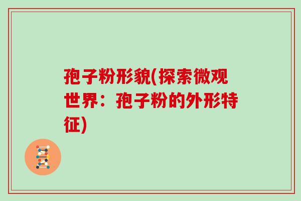 孢子粉形貌(探索微观世界：孢子粉的外形特征)