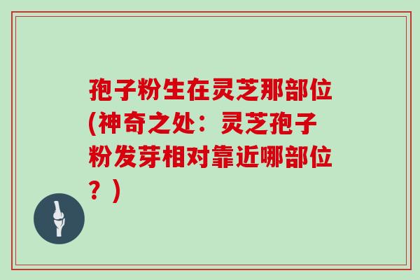 孢子粉生在灵芝那部位(神奇之处：灵芝孢子粉发芽相对靠近哪部位？)
